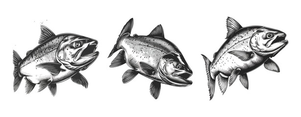 monochrome salmon fish illustration isolated on white ,generative ai
