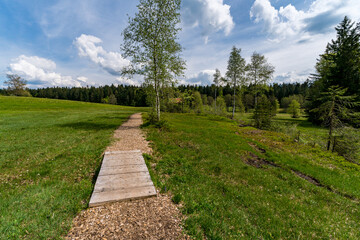 Family hike in the Wildrosenmoos Westallgau water trail near Oberreute Sulzberg