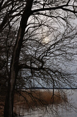 Stimmungsvolle Abendwanderung auf Usedom - Atmospheric evening hike on Usedom