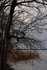 Stimmungsvolle Abendwanderung auf Usedom - Atmospheric evening hike on Usedom