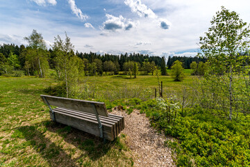 Family hike in the Wildrosenmoos Westallgau water trail near Oberreute Sulzberg