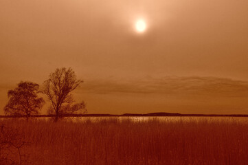 Stimmungsvolle Abendwanderung auf Usedom - Atmospheric evening hike on Usedom