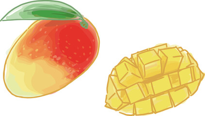 手で描いた全体のマンゴーと切ったマンゴーのベクターイラスト