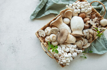 Assortment of various raw mushrooms