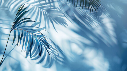 Obraz premium Light blue background palm leaves and copy space, summer backdrop