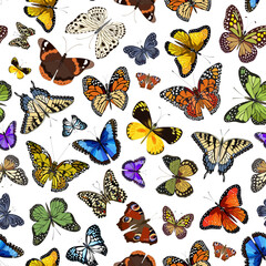 Butterflies on a transparent background.Colored vector pattern with colorful butterflies on a transparent background.