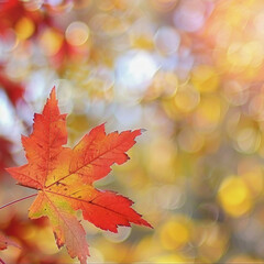 Design a fall web banner with red and yellow maple leaves and a soft focus light and bokeh background for end-of-year activities.