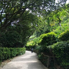 Beautiful landscaped tropical garden on the island of Madeira, Portugal