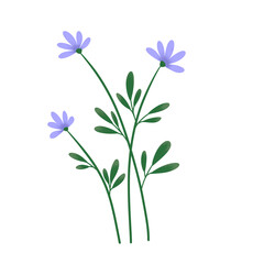 Wild flowers illustration