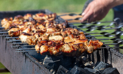 Meat is fried on skewers over coals on a grill
