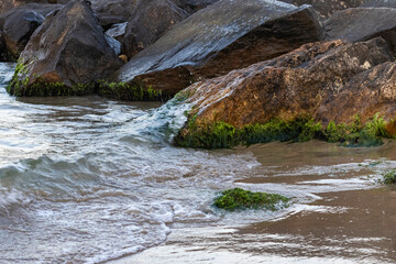 on the beach, the waves roll onto the sand, the komen are covered with algae