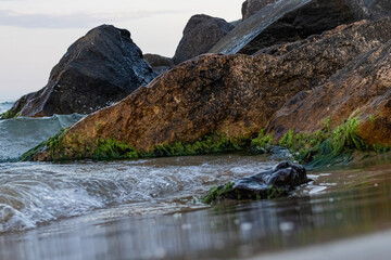 wet sand, rocks covered in algae and waves rolling onto the shore