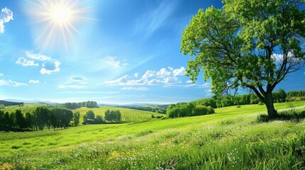 Bright summer day with green meadows and trees under a clear blue sky