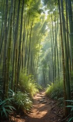 Fototapeta premium Misty Bamboo Forest Path.