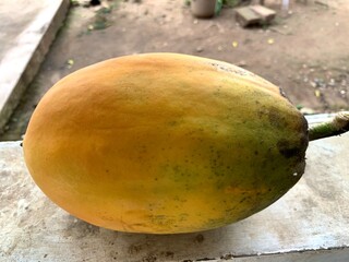 Close up of ripe papaya