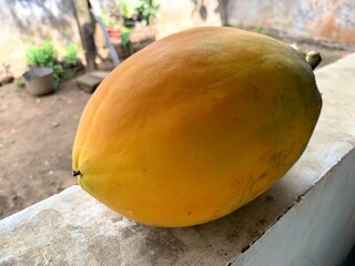 Close up of ripe papaya