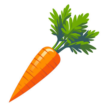 a realistic carrot in flat color block vector illustration style good for cartoon, animation graphics