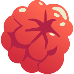 Raspberry Fruit Illustration