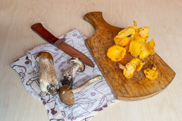 Chanterelle vulgaris is a species of fungi in the Chanterelle family.