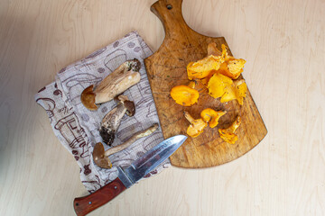 Chanterelle vulgaris is a species of fungi in the Chanterelle family.