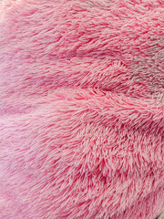 Pink background. Fur pattern. Texture of pink shaggy fur. Wool texture. Sheep fur close up