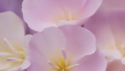 Obraz premium gentle blurred pastel colours flowers wallpaper