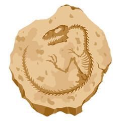 Archeology fossil stone with print of Jurassic dinosaur bones. Archeology reptile footprint, bone. Cartoon illustration © designer_things