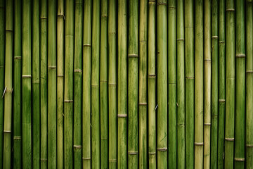 Processed collage of green bamboo fence surface texture. Background for banner, backdrop