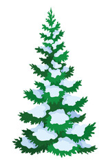 Fir tree with snow. Winter snow-covered spruce. Green fluffy pine isolated on white background