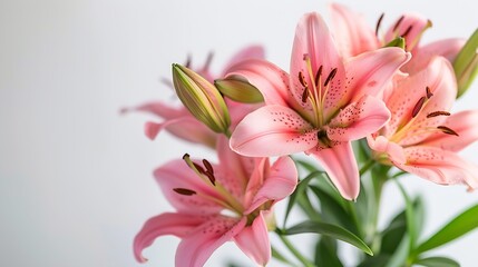 Obraz premium Beautiful pink lily flower bouquet isolated on white background : Generative AI