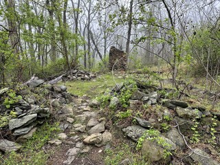 Stones in the woods