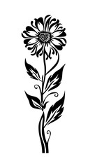 Zinnia flower celtic symbol design