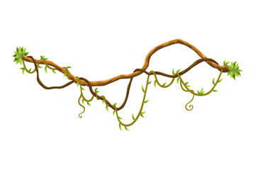 Twisted wild lianas branches banner. Jungle vine plants. Woody natural tropical rainforest, exotic botany. Woody natural branches