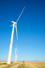 Fototapeta premium Wind turbine generators for sustainable electricity production