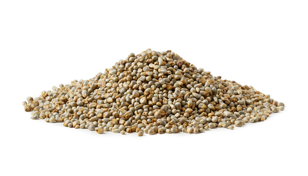 closeup pile of dry bajra pearl millet seed isolated on white background