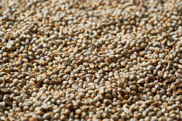 closeup pile of dry bajra pearl millet seed texture background