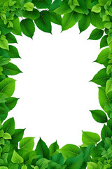 Green leaves frame