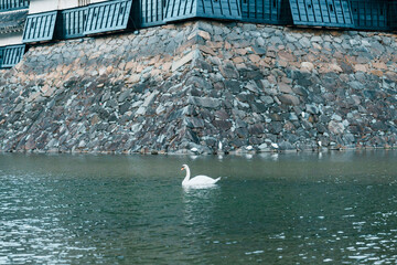 White Swam with Matsumoto Castle or Crow Castle, is one of Japanese premier historic castles in...