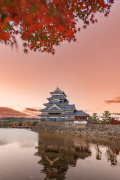 Matsumoto Castle or Crow Castle in Autumn, is one of Japanese premier historic castles in easthern Honshu. Landmark and popular for tourists attraction in Matsumoto city, Nagano Prefecture, Japan