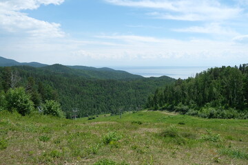 Various trees and plants in the coastal area of Lake Baikal.