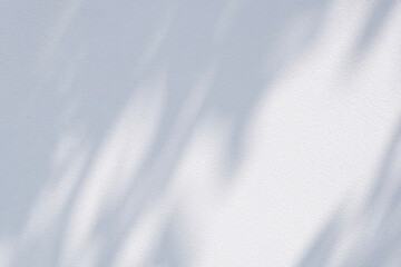 White cement wall background with sunlight and tree branch shadow on surface