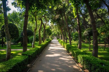Obraz premium Forest hills within a picturesque park depict a serene landscape where lush forested hills blend harmoniously with the park's natural beauty.