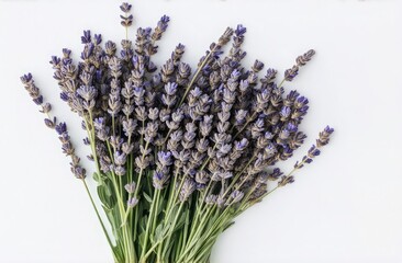 Bouquet of dried lavender on a white background