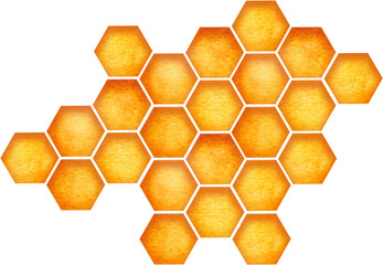 Honeycomb. Watercolor element hexagonal bee honeycombs isolated on white baskground.  Concept of healthy natural nutrition.