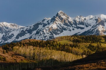 Forest in the spring and snow on the  San Juan Mountains, Colorado, United States of America.