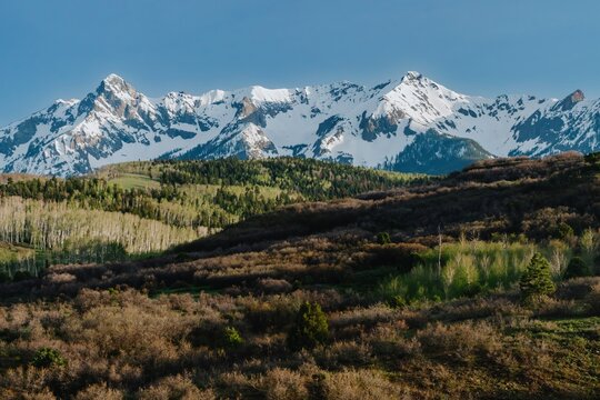 Forest in the spring and snow on the  San Juan Mountains, Colorado, United States of America.