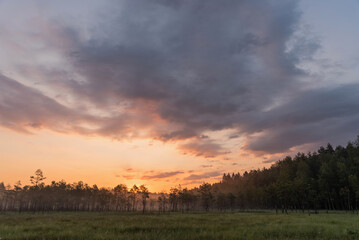 Mglisty świt na torfowisku  © Elżbieta Kaps