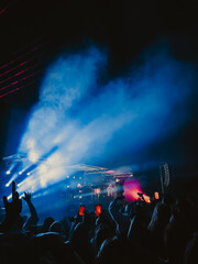 crowd at the concert