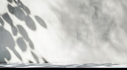 Naklejka premium Soft Plant Shadows on White Wall