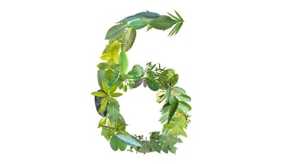 6, the number is formed from the arrangement of fallen leaves, suitable for birthday, anniversary and memorial day templates